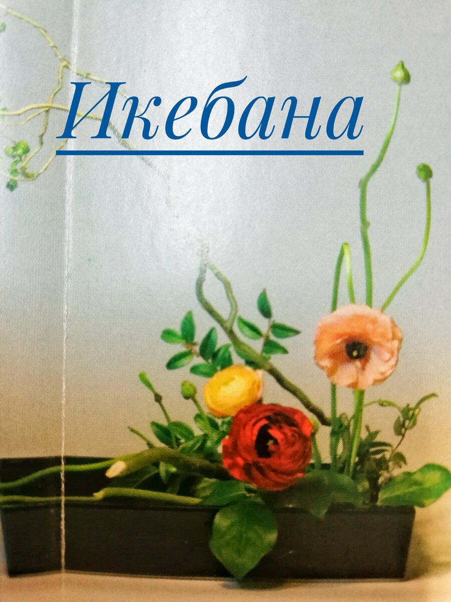 В икебане большое значение имеет ассиметрия и свободное пространство