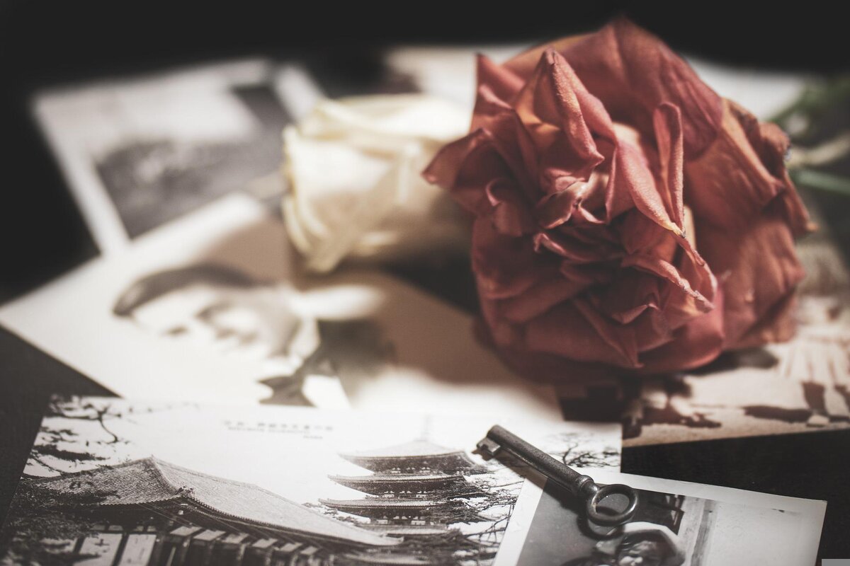 Фото с сайта Pixabay