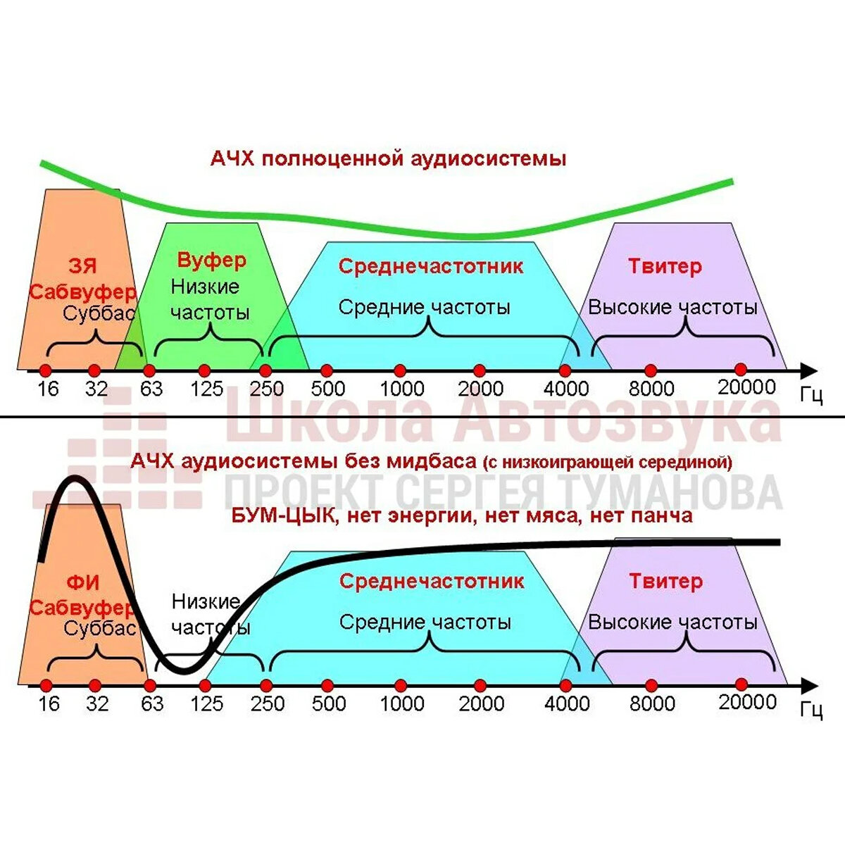 Настройка АЧХ: выстраиваем в линию? | Школа Автозвука Сергея Туманова | Дзен