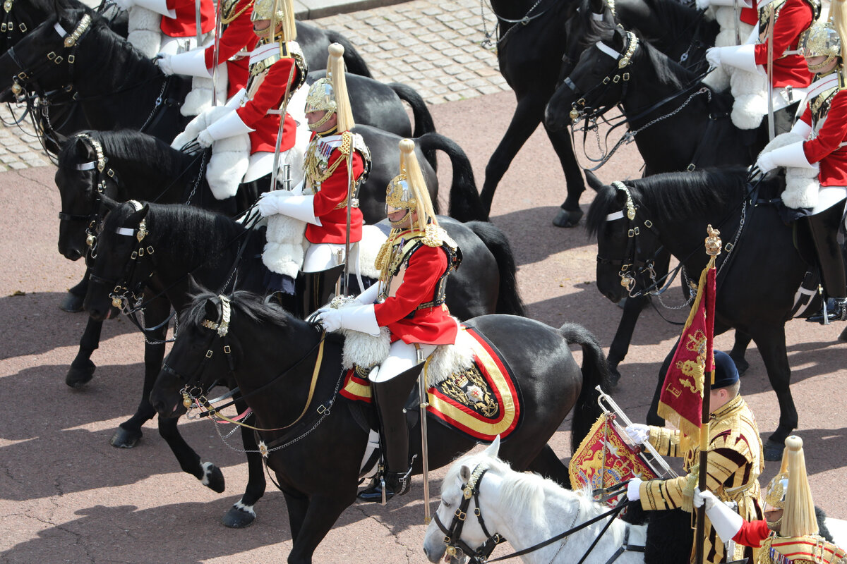 Blues and royals. Королевский праздник. Парад семей.