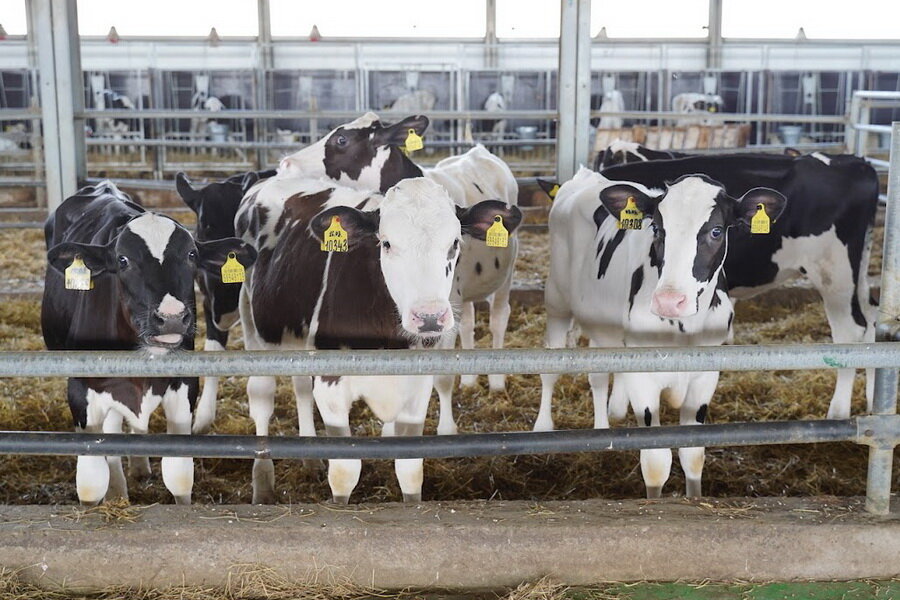 Источник фото: ElDala.kz