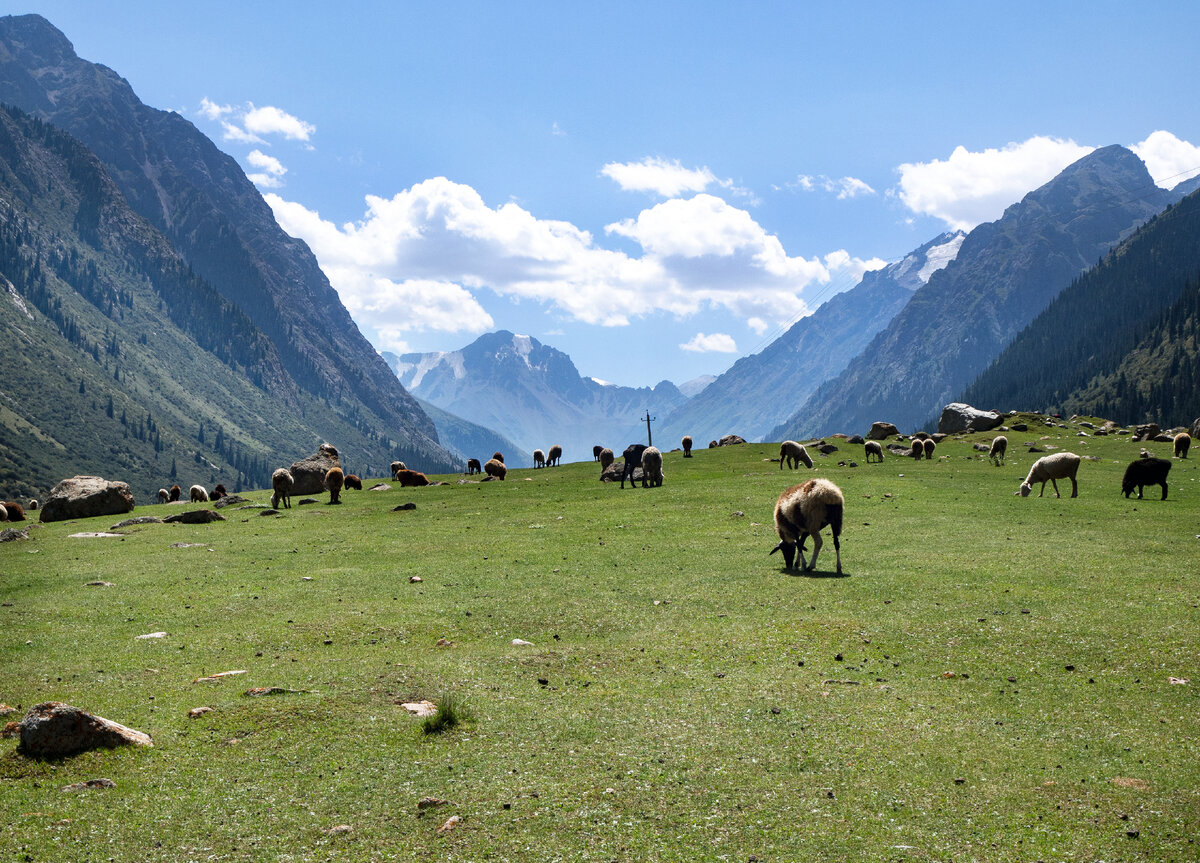 Идиллические горные пейзажи в Киргизии. Фото автора