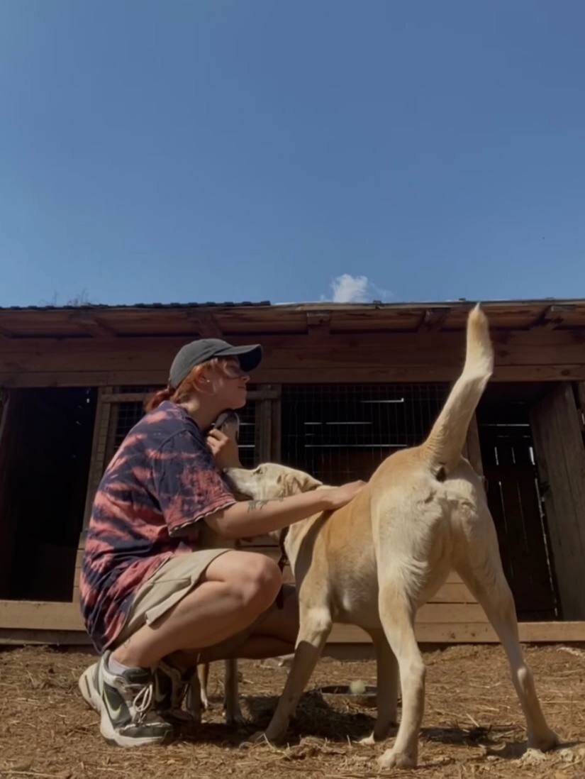 Настя и Борик