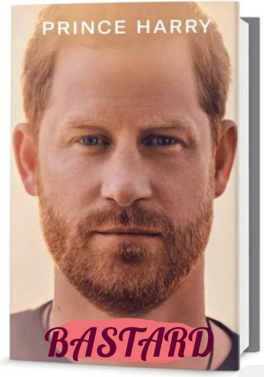 Bastard(англ) - мерзавец, сволочь, негодяй. Второе значение-незаконнорожденный ребенок. 