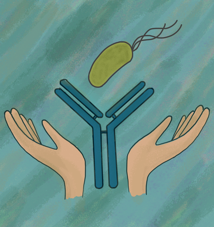 рисунок Елены беловой с сайта biomolecula.ru