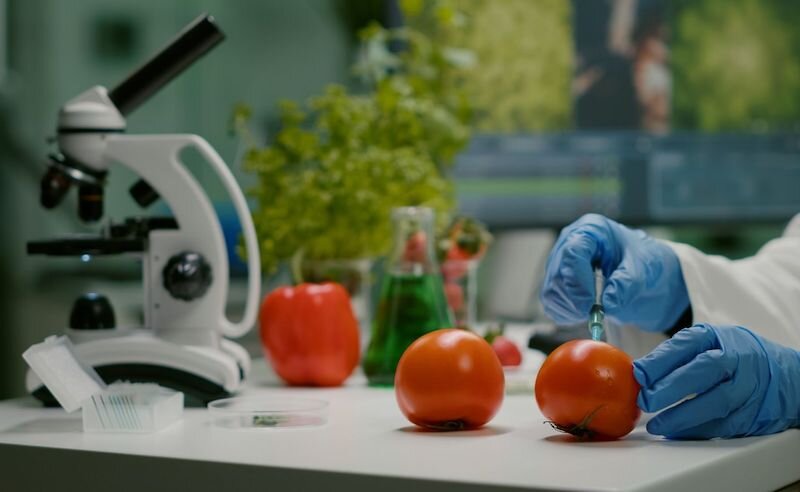    Биолог Носкова рассказала, чего ждать после легализации ГМО