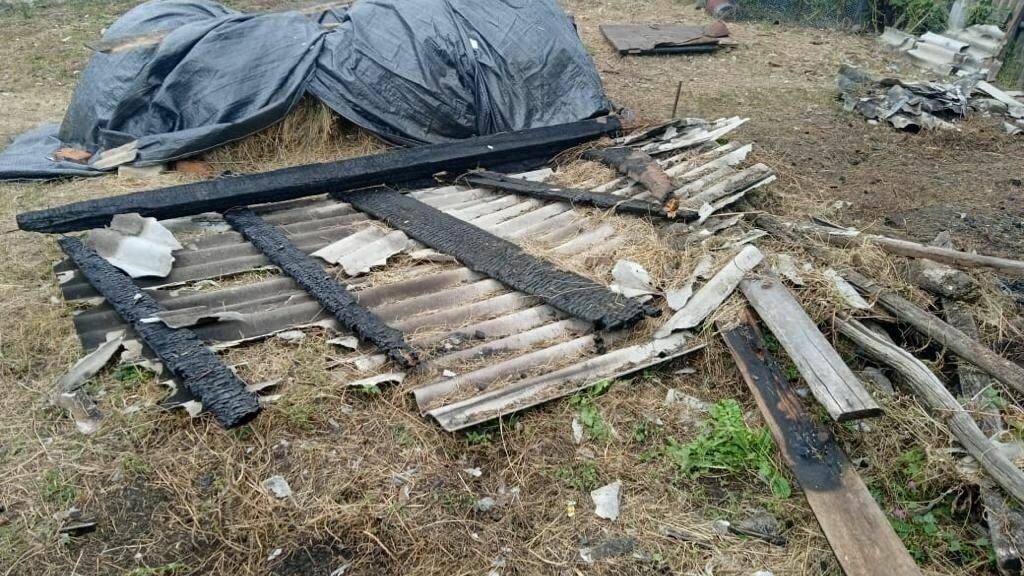     В Новониколаевском районе Волгоградской области мужчину задержали за поджог сенника соседки. В результате инцидента огонь уничтожил семь тонн сена.