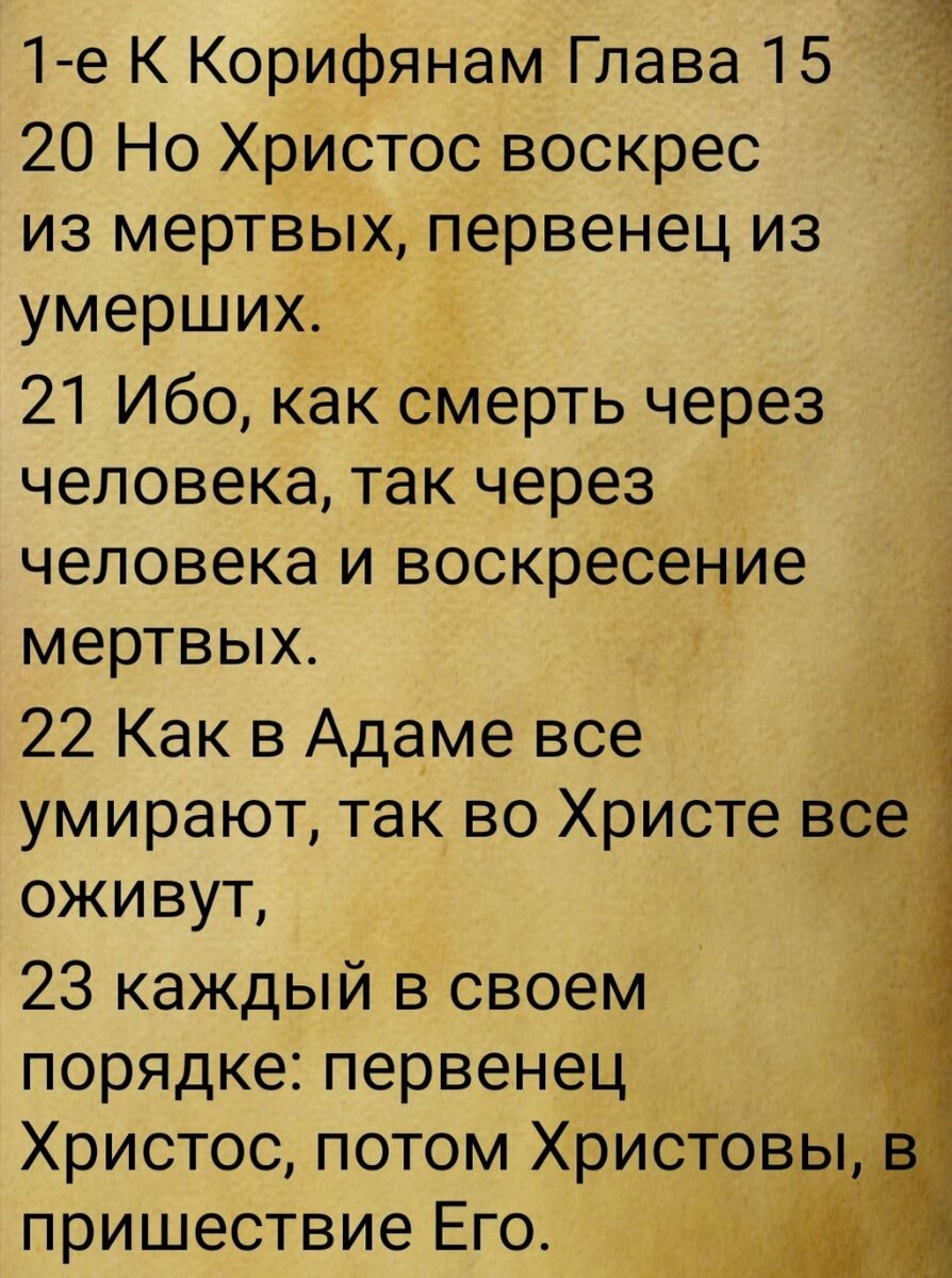 Сколько Евангелий в Новом Завете? Точно не четыре, если уж по-честному |  Жизнь в вере. | Дзен