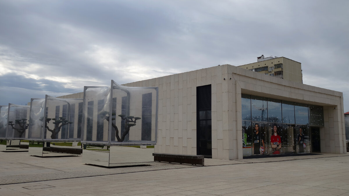 Бонсаи тоже любят тепло.