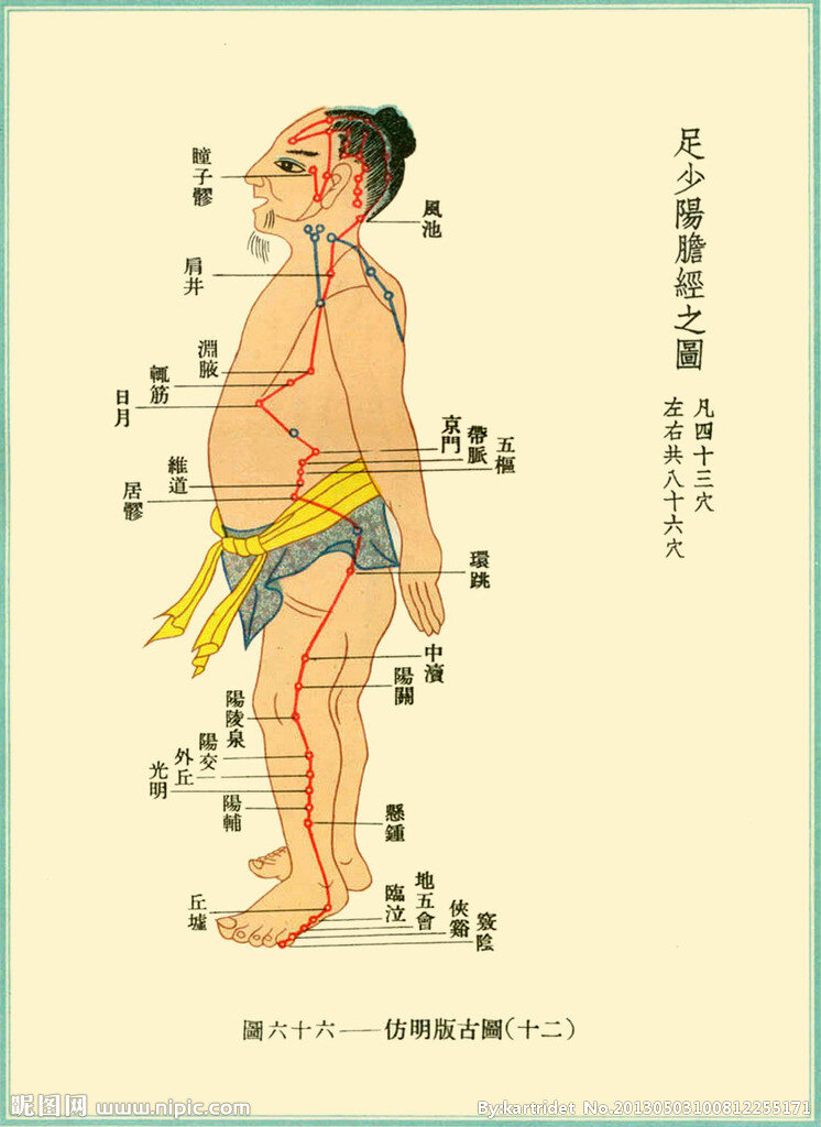 Канал желчного пузыря является парным, то есть проходит по правой и левой стороне тела. 
Свое начало он берет у внешних уголков глаз.
Далее канал опускается по боковой поверхности головы, проходит по шее, по передней стороне боковой поверхности туловища и доходит до паха. 
От паха имеет ответвление на ягодицы и опускается вниз по боковой поверхности бедра, коленного сустава, голени.
Оканчивается меридиан у четвертого пальца стопы.