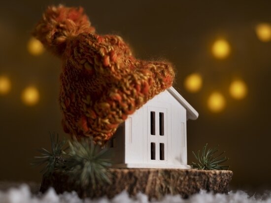     Фото: ru.freepik.com