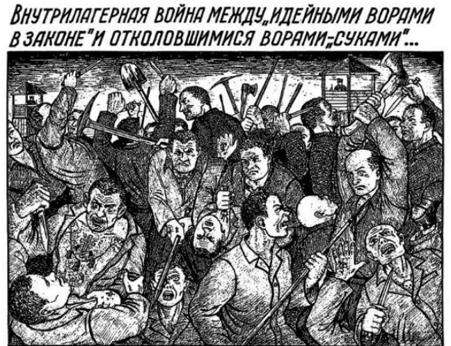 Фотография взята из источника yandex.ru