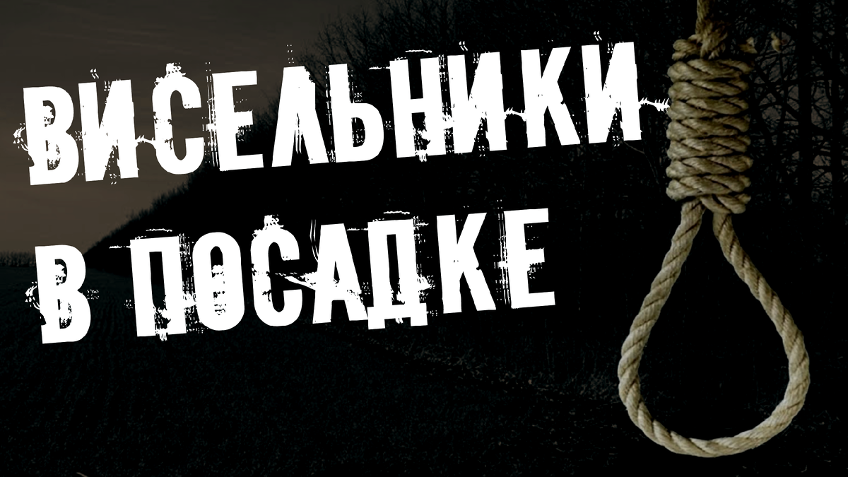 Не забудь подписаться, поставить лайк и написать в комментариях все, что думаешь об истории