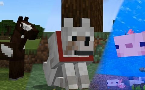 Взято из открытых источников 