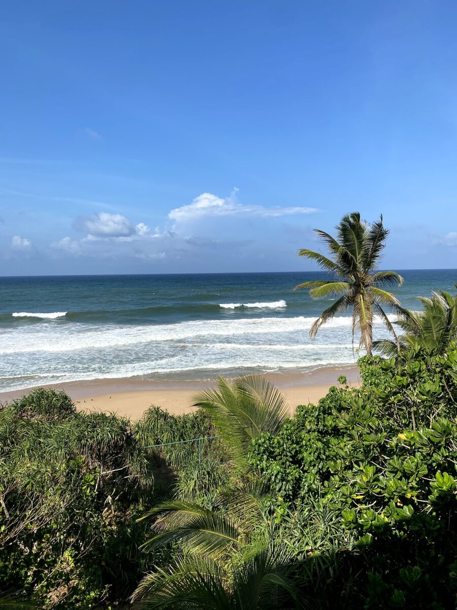 Moon beam the beach. Риу Шри Ланка. Риу Шри Ланка Ахунгалла. Хиккадува пляж. Riu Sri Lanka Ahungalla 5*.