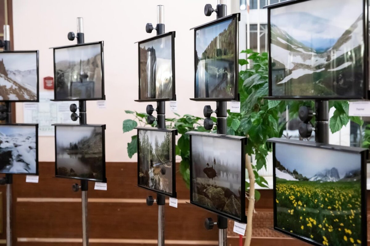 Листайте вправо, чтобы увидеть больше изображений