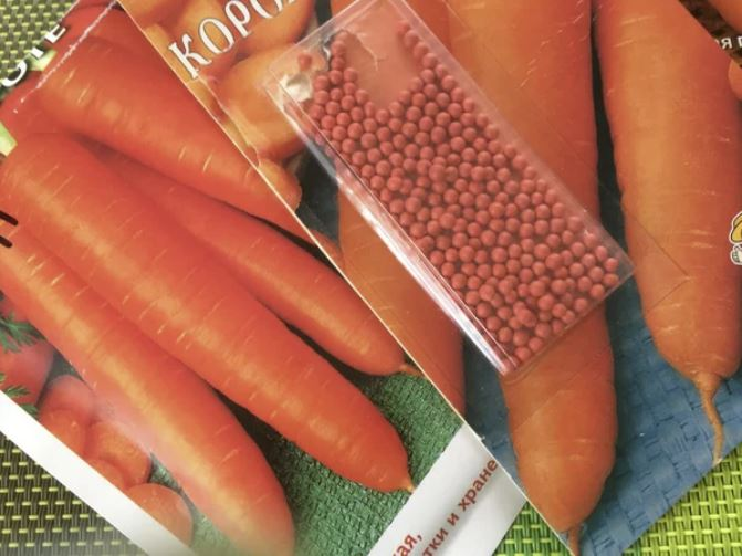 Как выглядят семена морковки