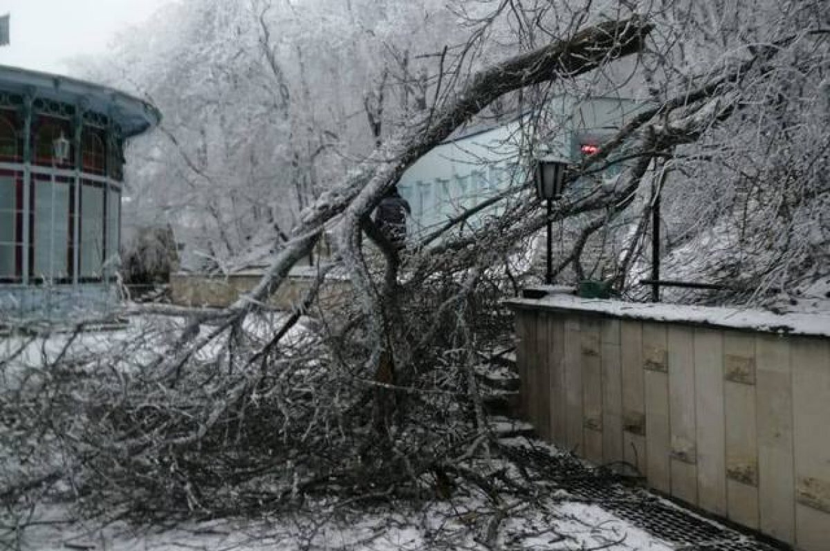 Кавказ Железноводск зимой