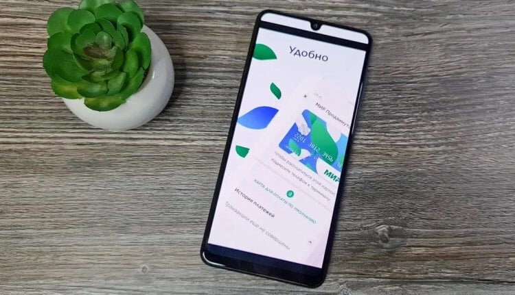    Mir Pay скоро научится платить на сайтах и в приложениях