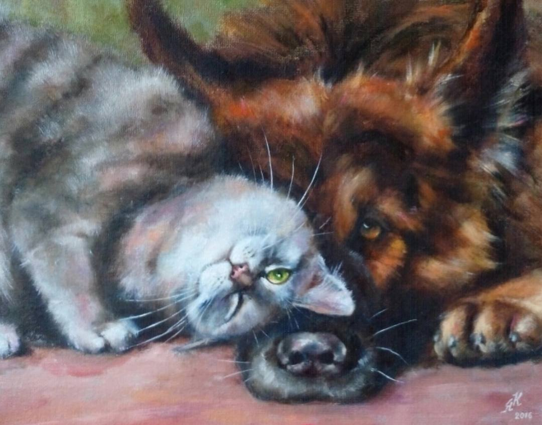 Кот, пес, автобус, работа, преданность, дружба, любовь