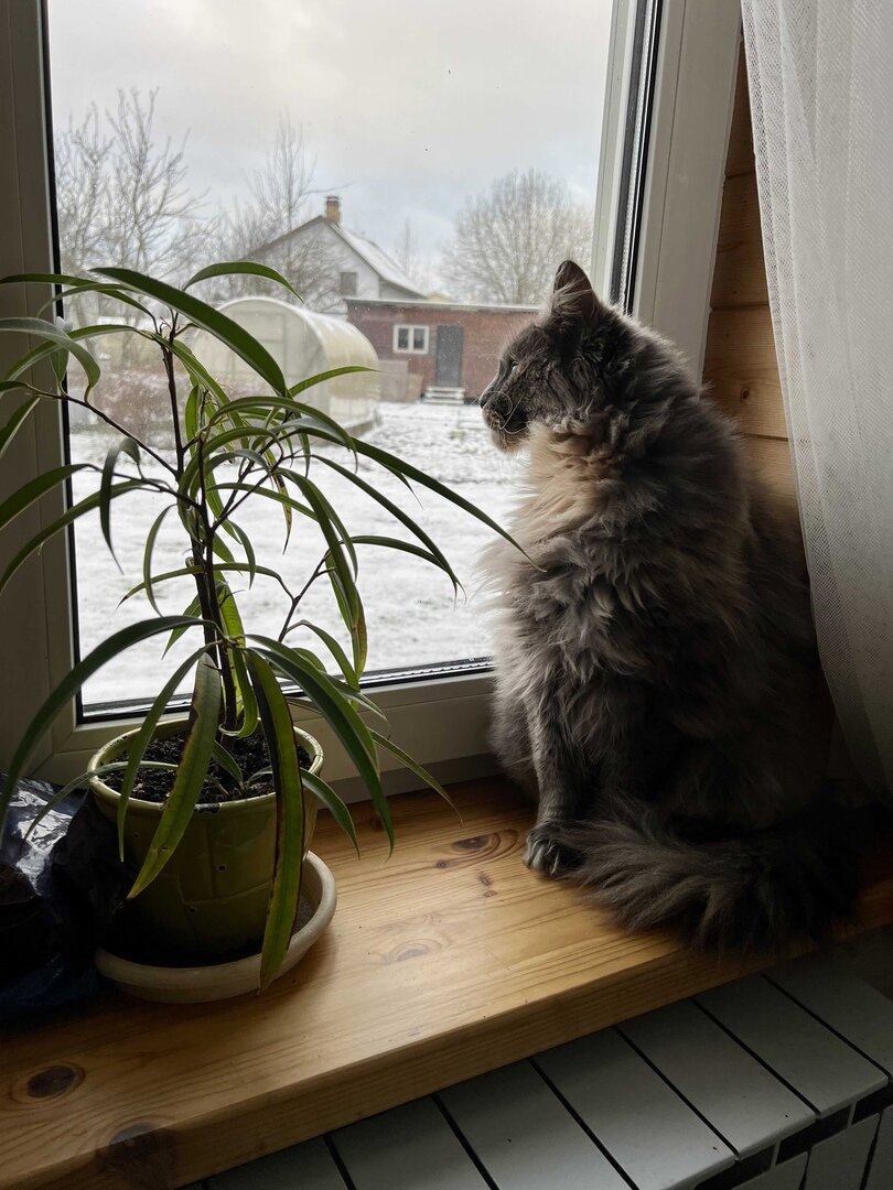 иллюстрация из яндекс картинки.