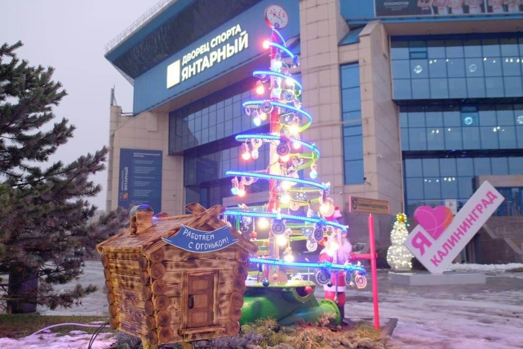 Фото: администрация Калининграда