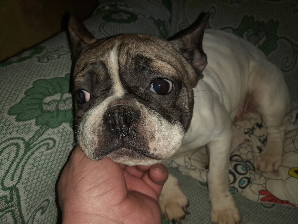 Молоденькая