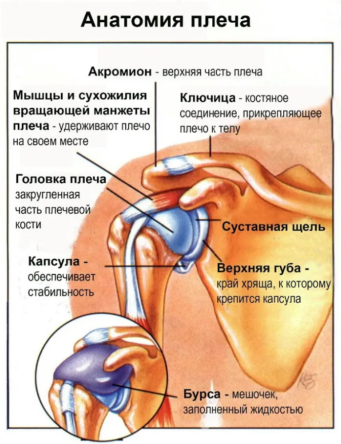 Боль в плече