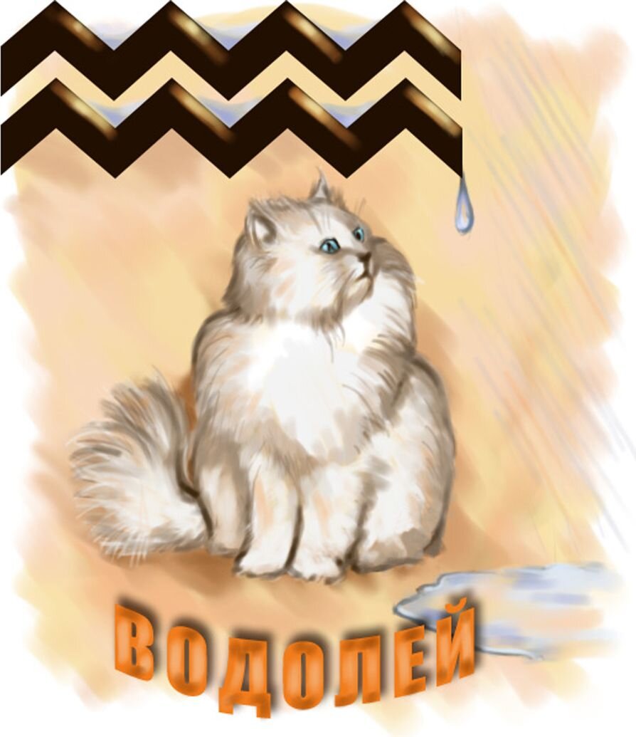 ютака кагая знаки зодиака. ютака кагая стрелец. Abigail diaz знаки зодиака. водолей кролик женщина характеристика. водолей кот женщина.