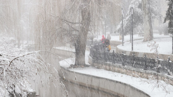    В Крыму объявили штормовое предупреждение из-за порывистого ветра Дарья Смирнова