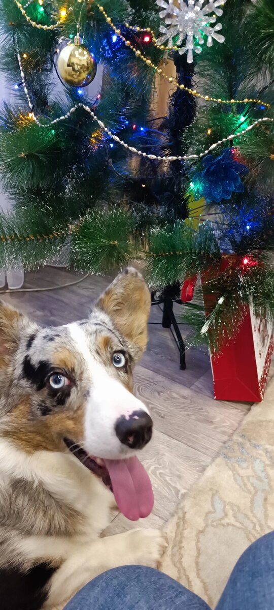 Фотография подписчика.