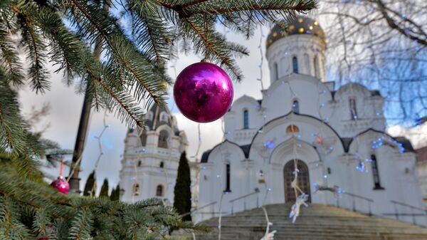   © Sputnik / Виктор Толочко