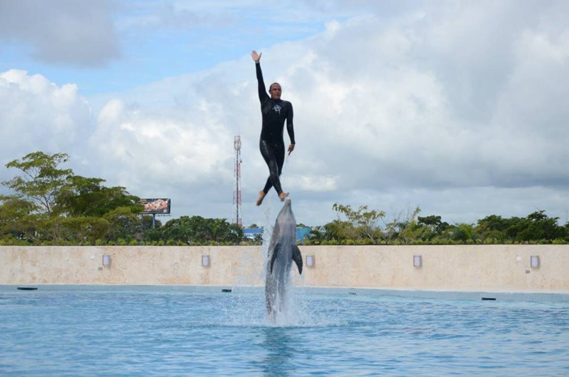 Фотогалерея Dolphin Discovery Punta Cana