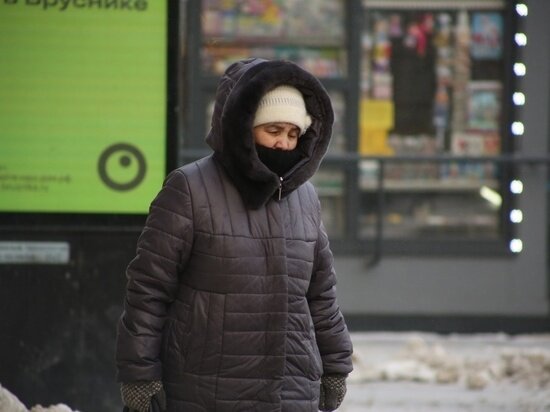     Фото: Густаво Зырянов / МК в Новосибирске