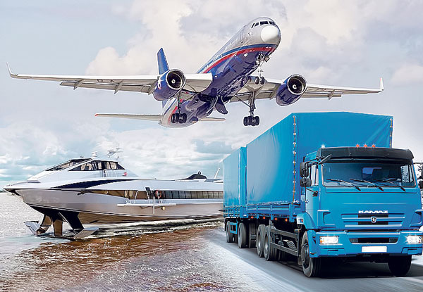 Фото: коллаж Олега Пеплова