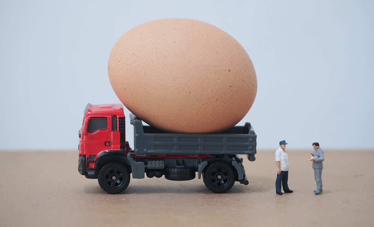 Источник: Shutterstock.com