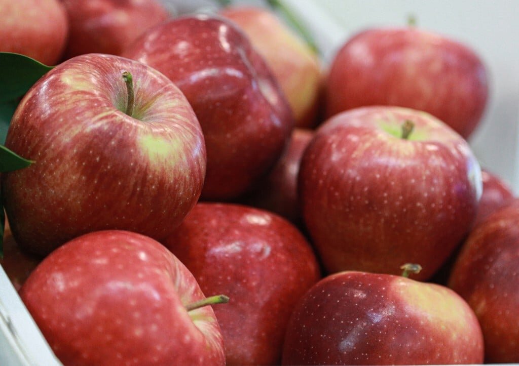 Фото: Сергей Булкин/NEWS.ru