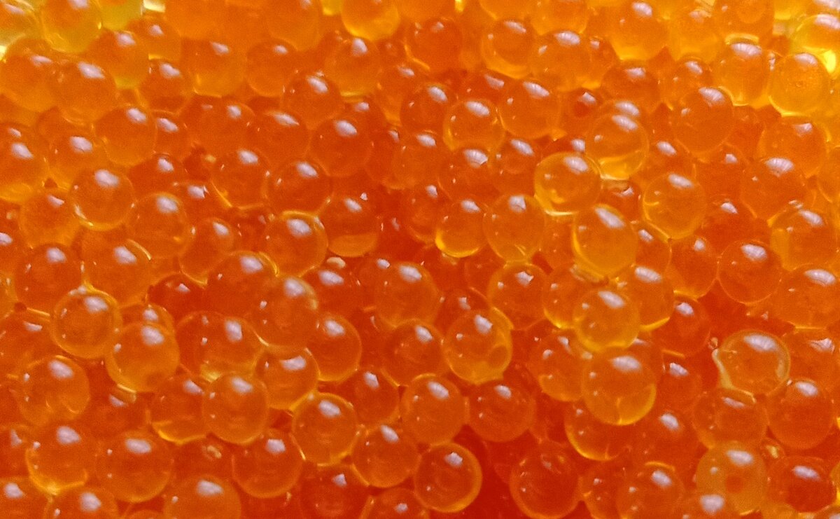 Какой цвет! Фото автора.