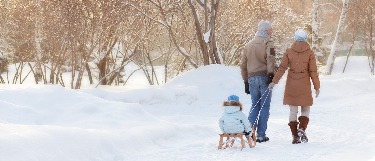 Яндекс картинки