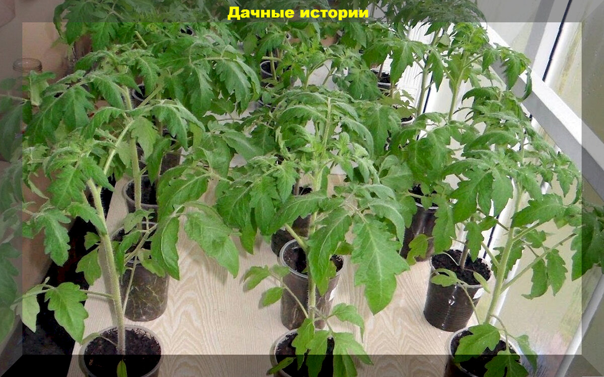 https://vk.com/photo-159774511_457258279