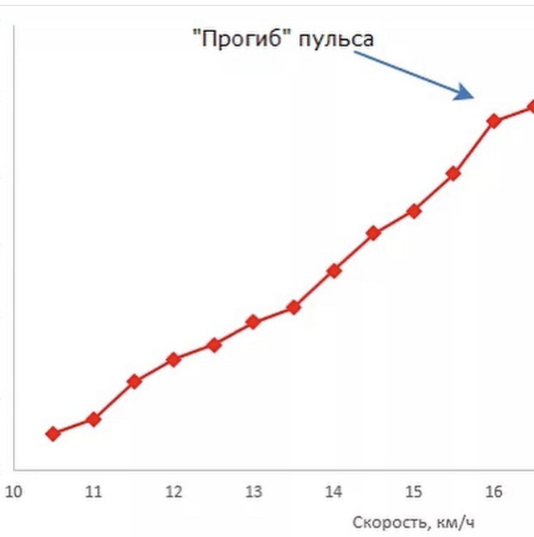 Примерный график и прогиб пульса на нём