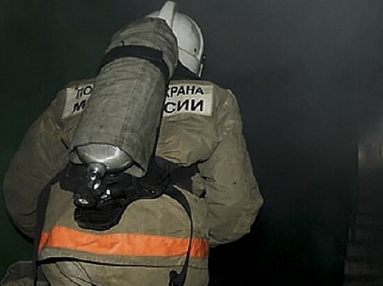     Фото: ГУ МЧС России по Томской области.