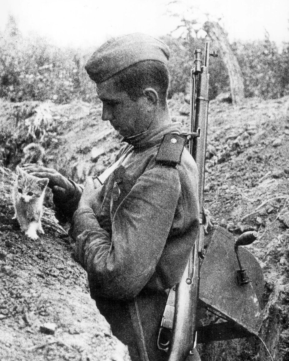 Животные в годы великой отечественной войны проект