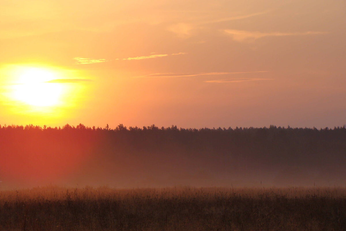 фото Лидии Бам