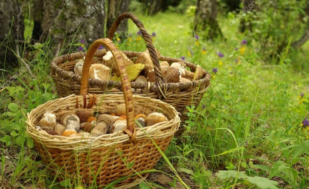 Наконец обе большие корзины были полны (взято из Яндекс картинки) 