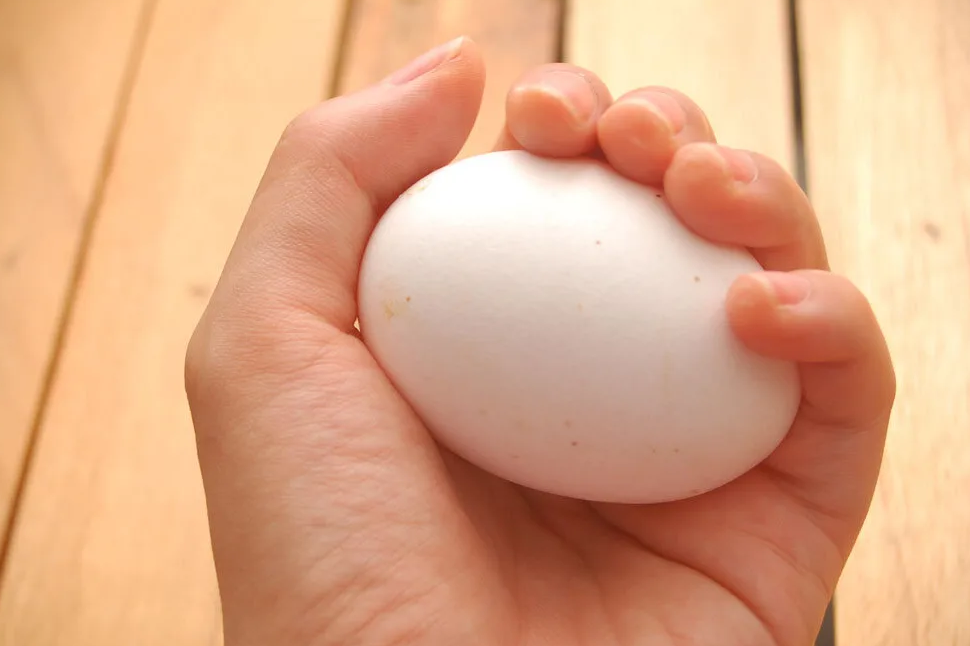 Яички в руках. Яйцо в руке. Куриное яйцо в руке. Яйцо в ладони.