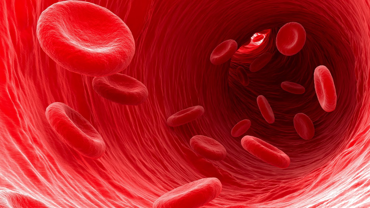 Кровь без тромбов