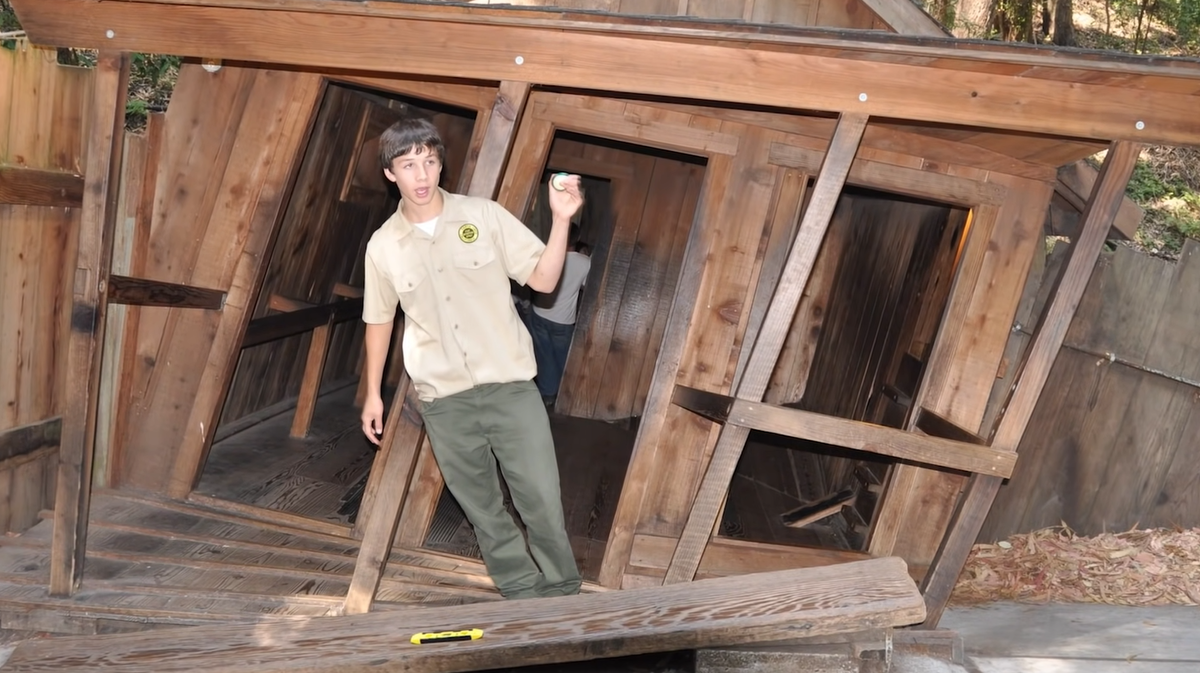 Изображение взято из открытого источника 