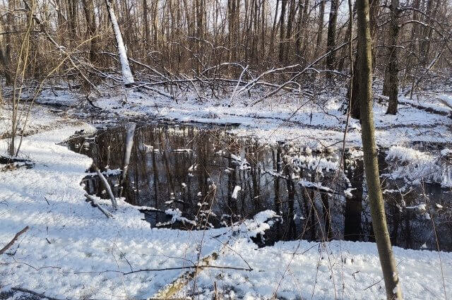    Фото: Пресс-служба Общероссийского народного фронта