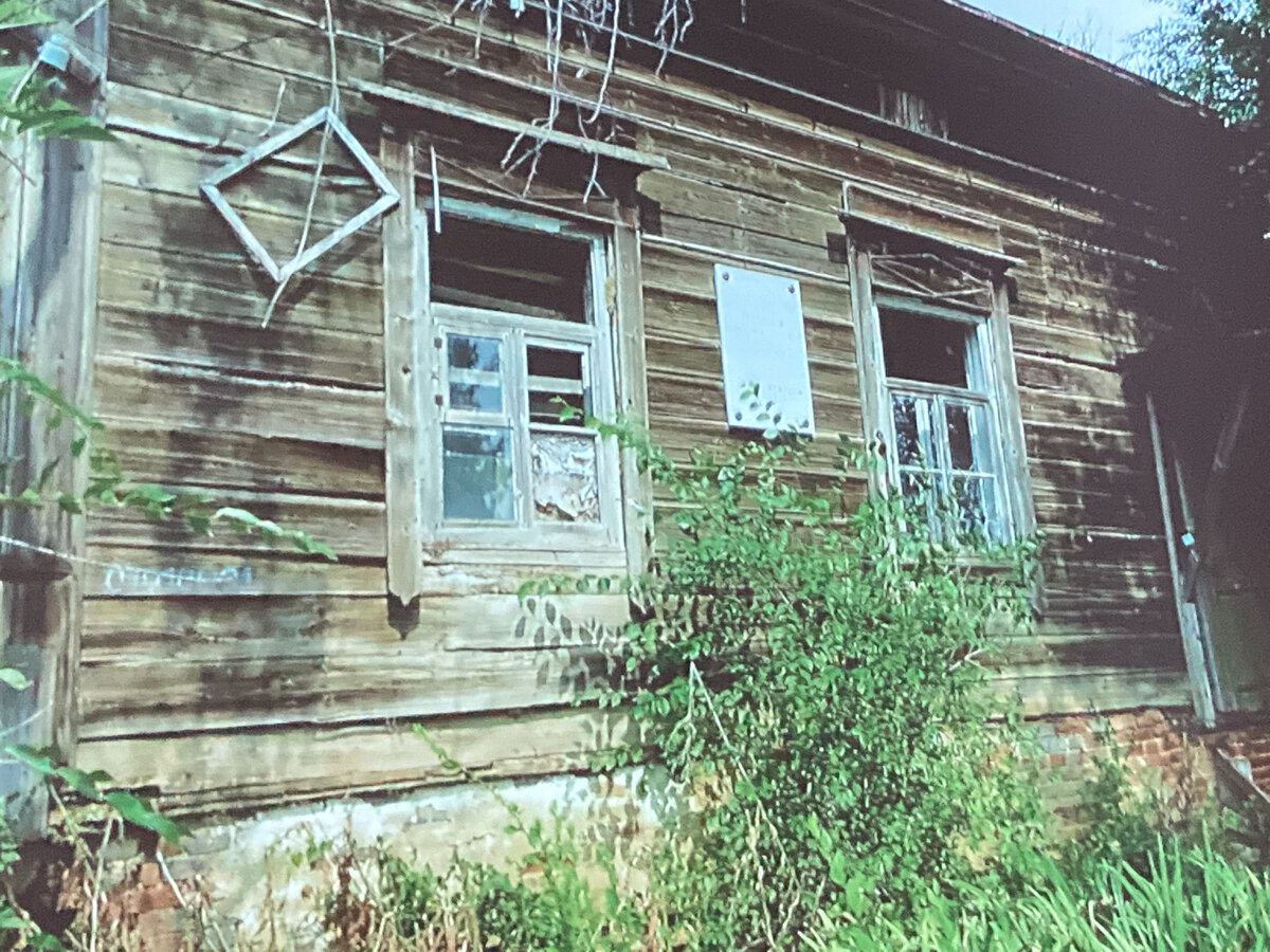 Яйца динозавра и заброшенные церкви в Волгоградской области | Кот, плывущий  по реке | Дзен